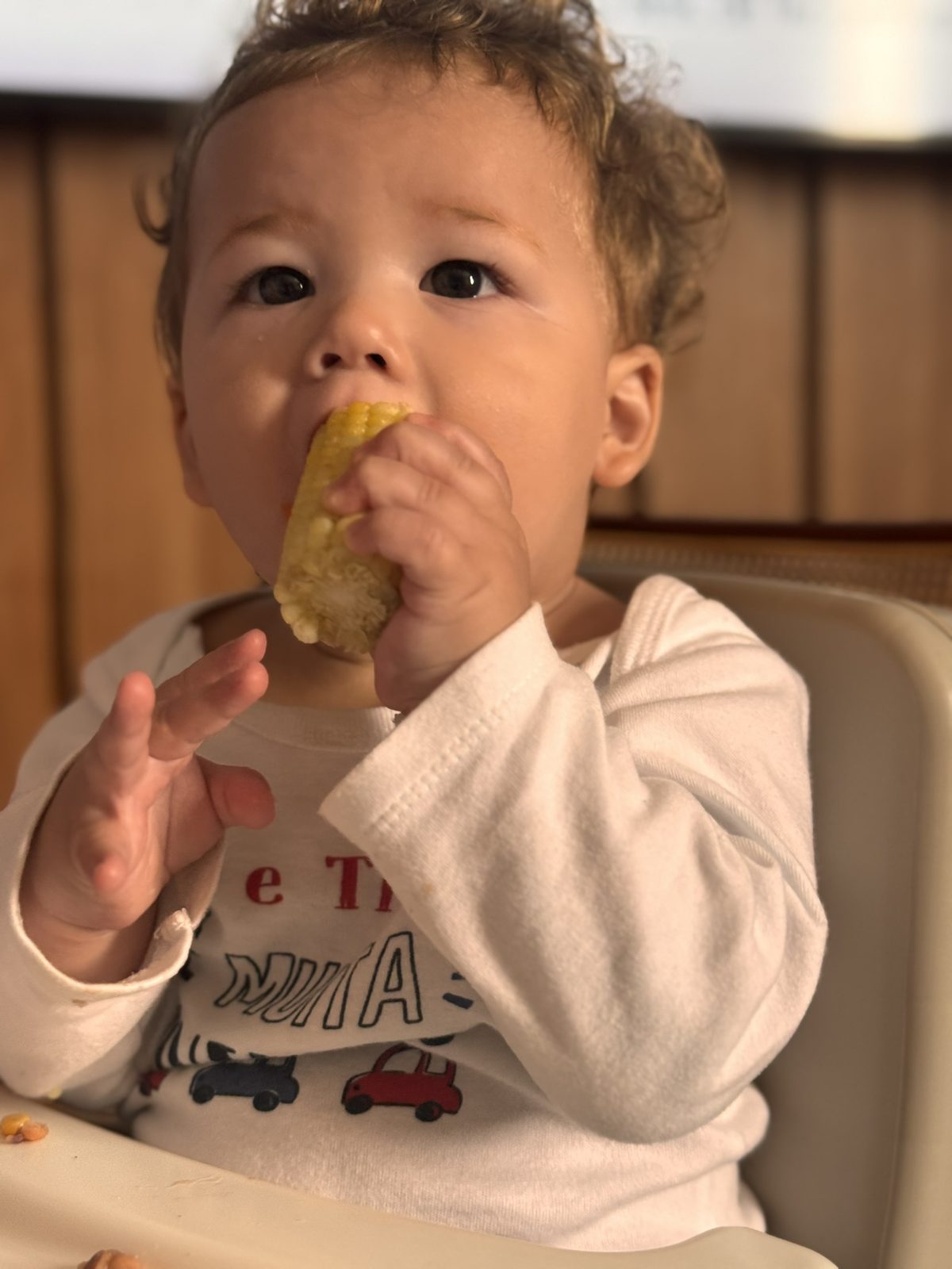 Exemplo de ímã de geladeira com a foto do Benjamin comendo milho.